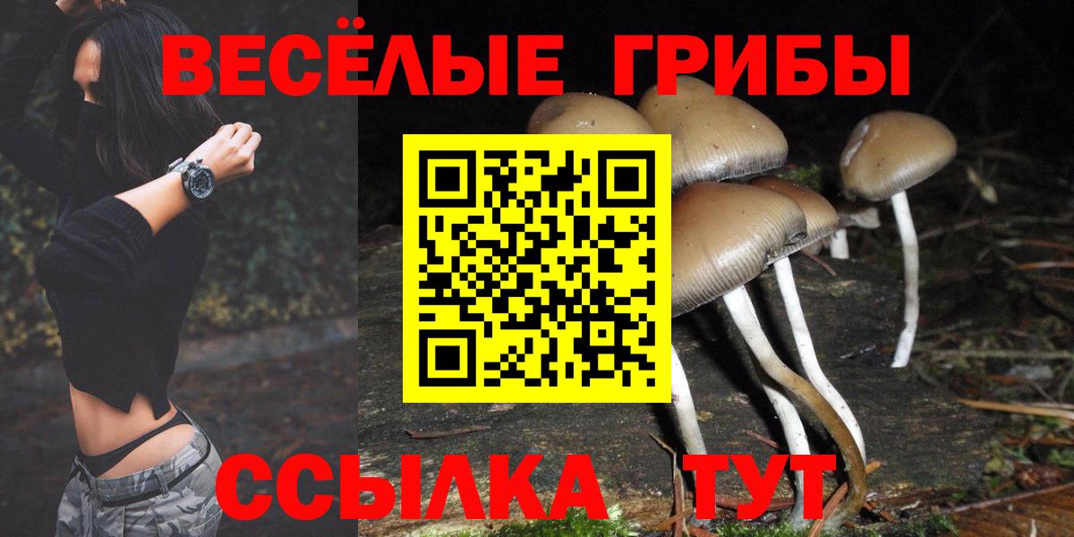 Галлюциногенные грибы MAGIC MUSHROOMS  Псилоцибиновые грибы GOLDEN TEACHER  Нижнеудинск  продажа наркотиков  Вход с VPN 