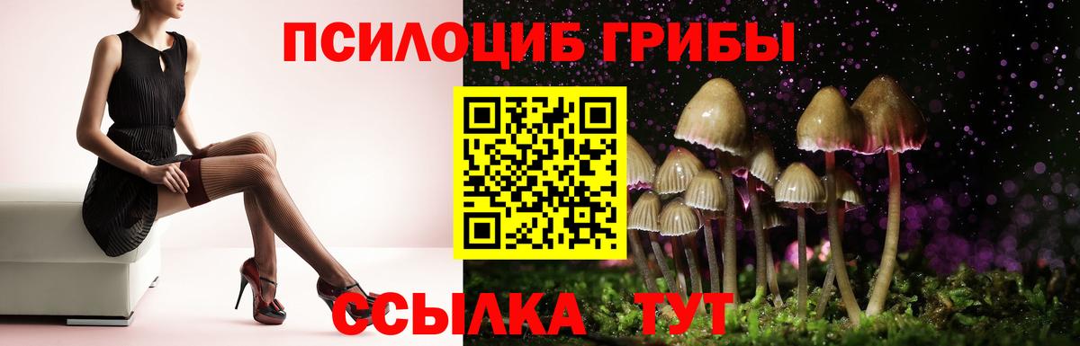 Псилоцибиновые грибы мицелий Нижнеудинск